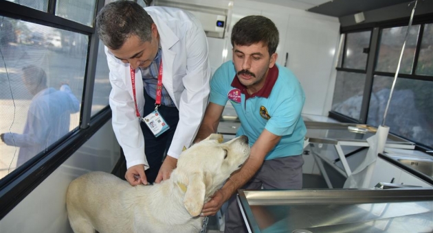 HAYVAN HAKLARI GÜNÜNDE FARKINDALIK ETKİNLİĞİ