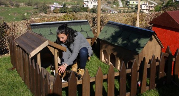 ALKÜ'ye Kedi Evi Yapıldı