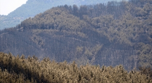 Alanya'da ormanlara giriş yasağı uzatıldı