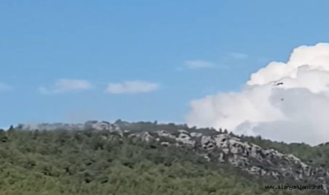 Alanya’da yangın paniği!