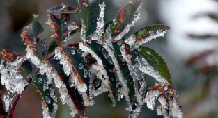 Meteoroloji'den don uyarısı