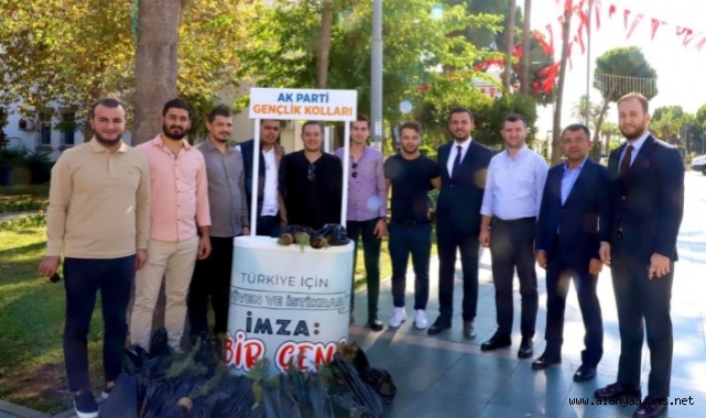 AK gençler Alanya'da fidan dağıttı