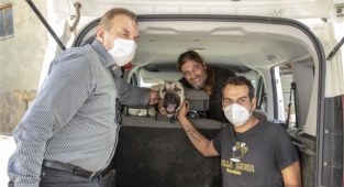 Alanya'da aracın çarptığı köpek sahiplendirildi