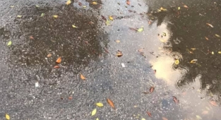 Alanya’da pazar esnafının su çilesi!