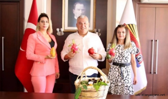 Alanya’daki kadın girişimcilerden Başkan Şahin’e ziyaret