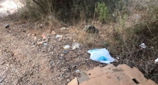 Baliciler, Alanya'nın o mahallesini mesken tuttu