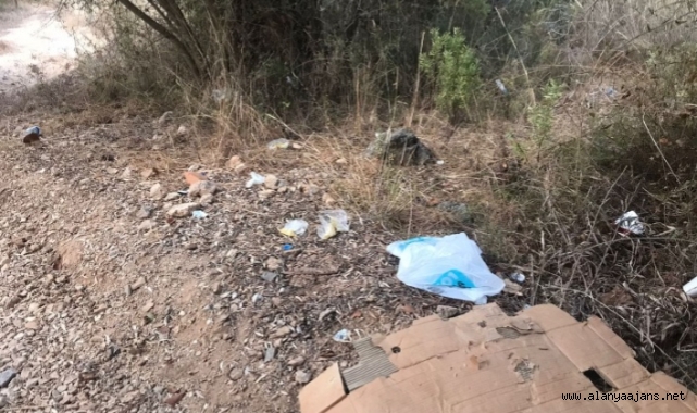 Baliciler, Alanya'nın o mahallesini mesken tuttu