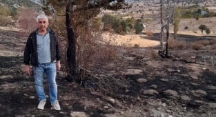 Gündoğmuş'ta yine yangın çıktı!