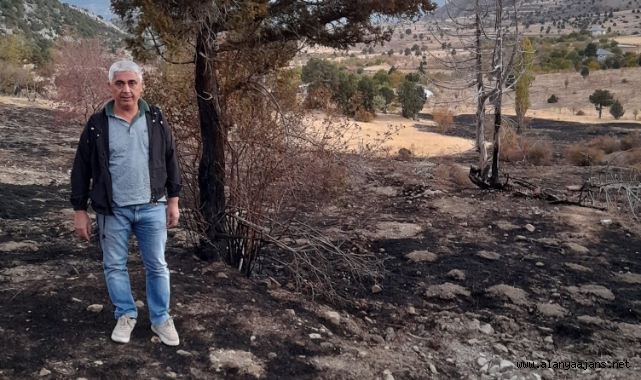 Gündoğmuş'ta yine yangın çıktı!