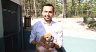 Toklu: Doğa hayvanlarla daha güzel