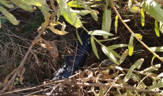 Alanya Belediye personeline saldıran şahıs yakalandı