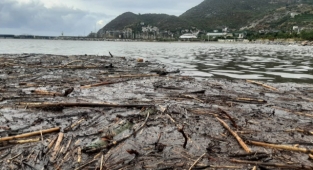 Alanya'da denizin rengi kahverengiye döndü!