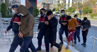 Alanya’da girdikleri bahçeden 100 bin TL değerinde 15 bin avokado çaldılar