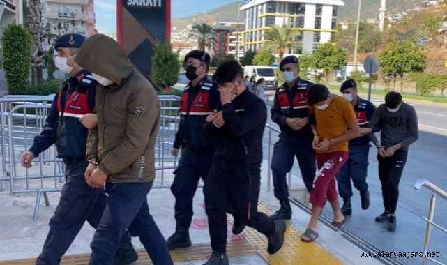 Alanya’da girdikleri bahçeden 100 bin TL değerinde 15 bin avokado çaldılar