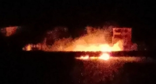 Alanya'da kopan elektrik teli yangın çıkardı