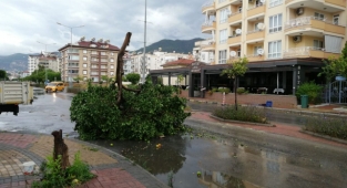 Alanya'da şiddetli rüzgar hayatı olumsuz etkiledi