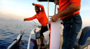 Alanya’da tutulan o balık denize tekrar bırakıldı