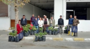 Alanya’da yangından etkilenen ailelere ceviz fidanı desteği