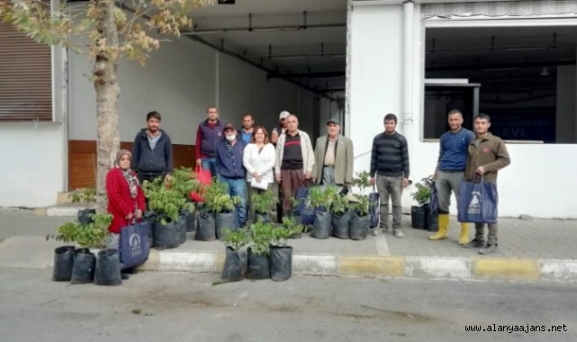 Alanya’da yangından etkilenen ailelere ceviz fidanı desteği