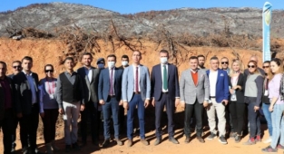 Yangından zarar gören Güzelbağ’da 5 bin adet fidan toprakla buluştu