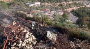 Alanya’da çalılık yangını