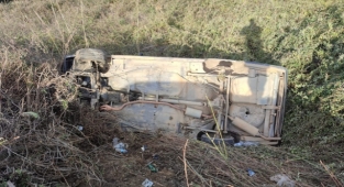 Alanya'da köpeğe çarpan otomobil takla attı!