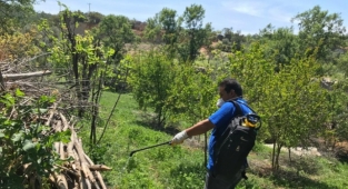 Alanya'da vektörel mücadele tam gaz sürüyor