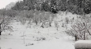 Alanya'nın yaylaları beyaza büründü