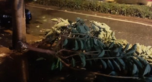 Alanya'yı fırtına vurdu