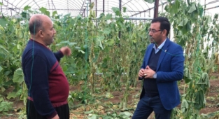 Alanyalı üreticilere önemli uyarı