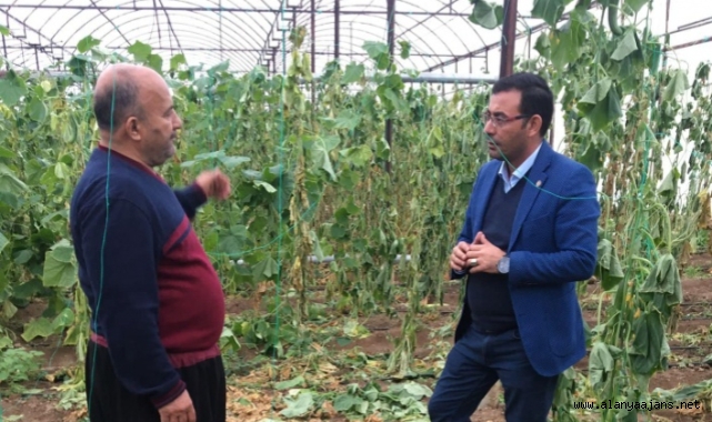 Alanyalı üreticilere önemli uyarı