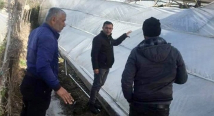 Alanya'da 16 sera ve tarla fırtınadan zarar gördü