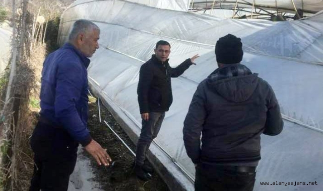 Alanya'da 16 sera ve tarla fırtınadan zarar gördü