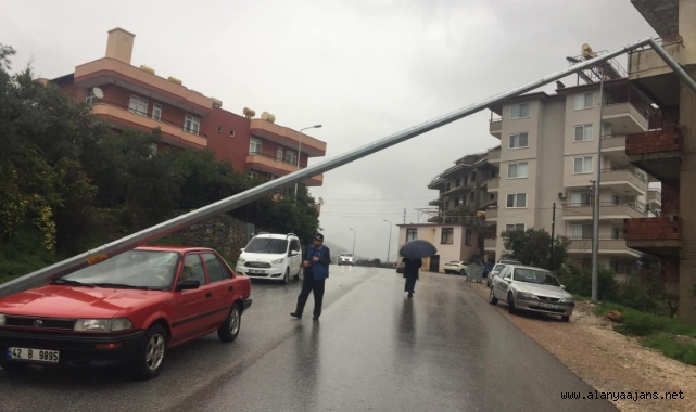 Alanya'da aydınlatma direği aracın üzerine devrildi