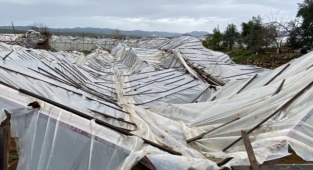 Alanya'da fırtına seralara zarar verdi