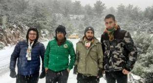 Alanya’da Grup Şimşekler’den sokak hayvanlarına yardım eli