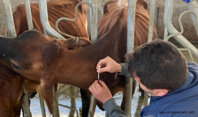 Alanya'da ilk testler yapıldı