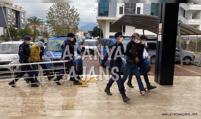 Alanya'da yayla hırsızları jandarmadan kaçamadı