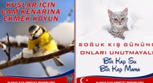 Alanya Polisi sokak hayvanlarını unutmadı