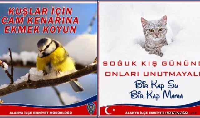 Alanya Polisi sokak hayvanlarını unutmadı