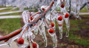 Alanya’ya zirai don uyarısı!