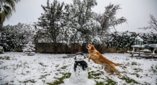 Başkan Böcek'ten kar yağışı sonrası esprili paylaşım