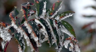 Meteoroloji'den Alanya'ya don uyarısı!