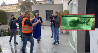 Alanya’da ki köpek balığı yeni yaşam alanına götürüldü