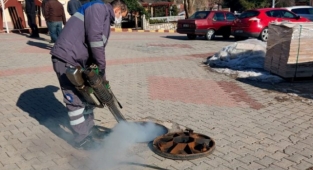 Alanya’da sinekle mücadele çalışmaları sürüyor