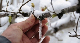 Meteoroloji’den zirai don uyarısı