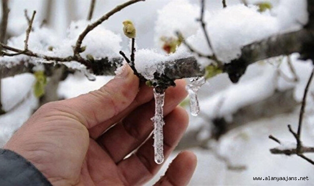 Meteoroloji’den zirai don uyarısı