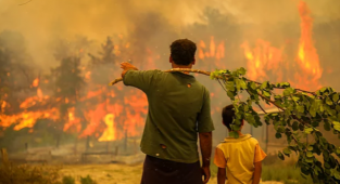 Yangınlarda zarar gören çiftçilere tarımsal zarar ödemeleri yatırıldı