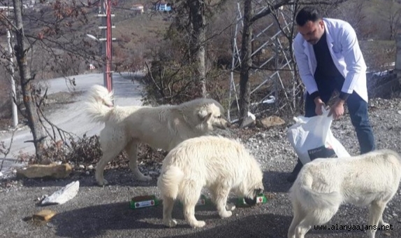 Alanya Belediyesi'nden can dostlara yardım eli