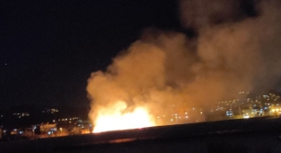 Alanya’da çalı yangını korkuttu